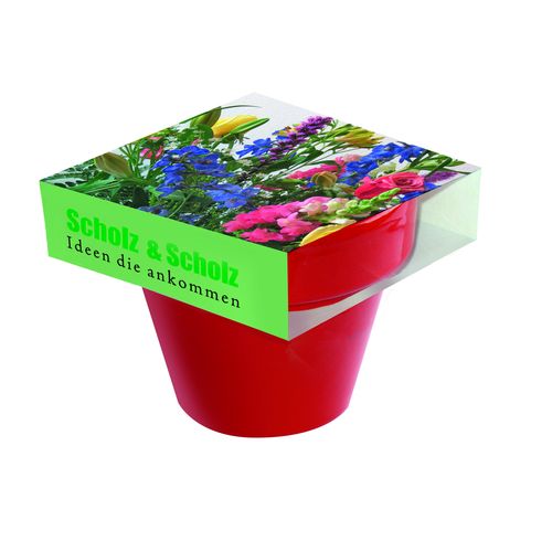Pot Couleur Bouquet de fleurs Pot Couleur Bouquet de fleurs