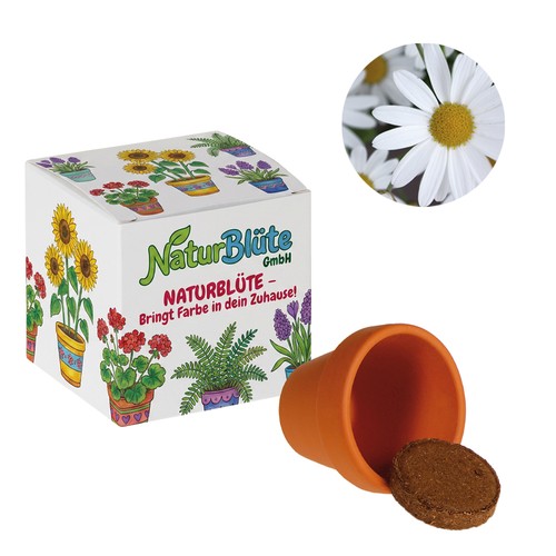 Cube de graines promotionnel (papier blanc) - Marguerite Cube de graines promotionnel (papier blanc) - Marguerite