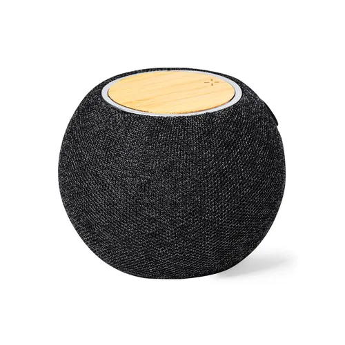 Charger Speaker Cedric Charger Speaker Cedric