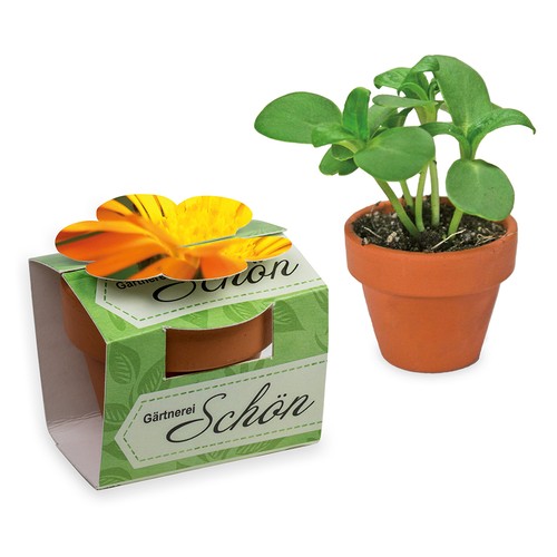 Mini pot terre cuite en fourreau fleur avec graines - Souci