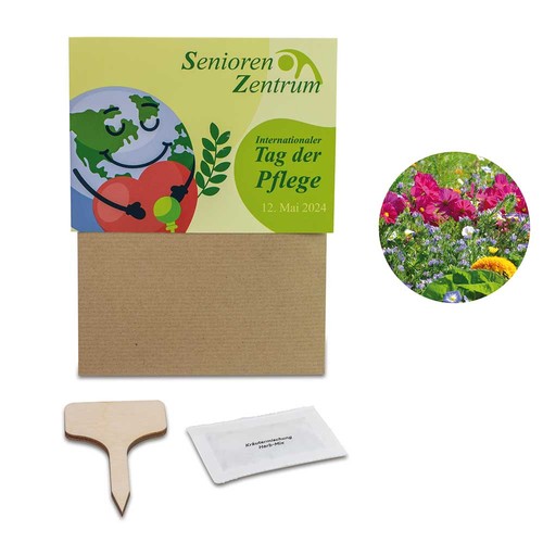Ensemble de plantes - Lot de 3 - Mélange de fleurs d'été / Tournesol / Myosotis Ensemble de plantes - Lot de 3 - Mélange de fleurs d'été / Tournesol / Myosotis