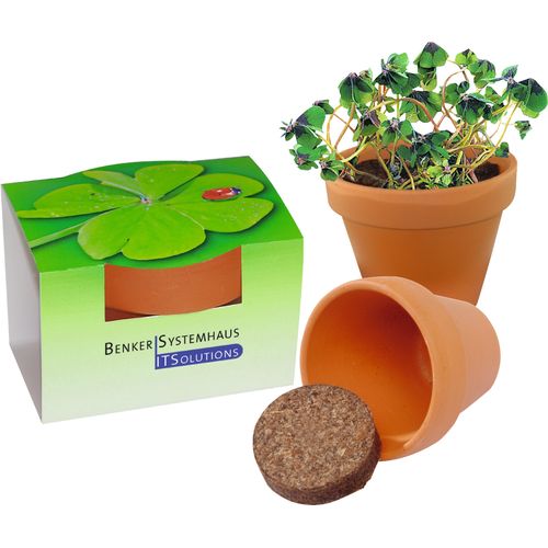 Pot en terre cuite Trèfle à 4 Feuilles Pot en terre cuite Trèfle à 4 Feuilles