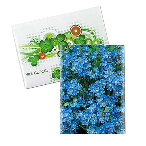Zaadzakjes mini standaard papier - Vergeet-me-nietjes Zaadzakjes mini standaard papier - Vergeet-me-nietjes