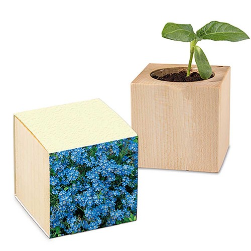 Houten plantenset - Vergeetmenietjes Houten plantenset - Vergeetmenietjes