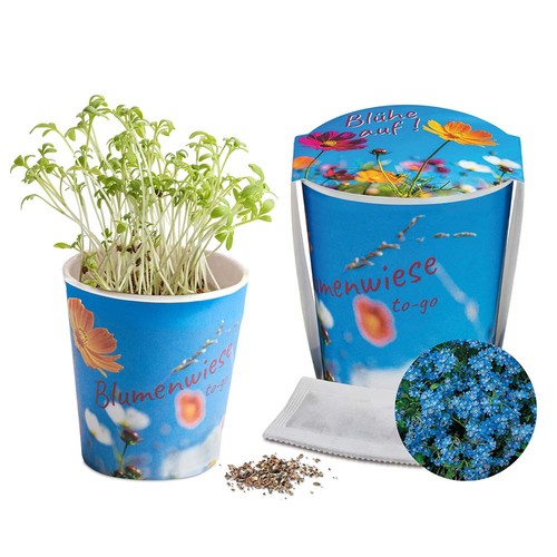 Flower meadow to-go - Forget-me-not - neutral Flower meadow to-go - Forget-me-not - neutral
