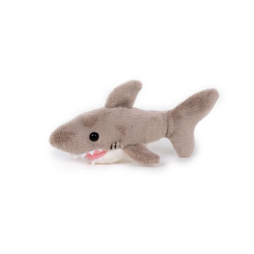 Peluche Peluche