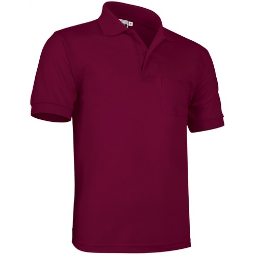 koszulka polo