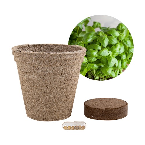 Jar with peat and seeds Paprica Jar with peat and seeds Paprica