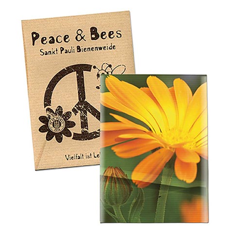 Zaadzakjes mini natronkraft papier - Goudsbloem Zaadzakjes mini natronkraft papier - Goudsbloem