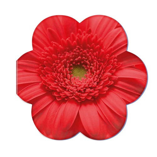 Bloemzaadpapier in vouwkaartbloem Bloemzaadpapier in vouwkaartbloem