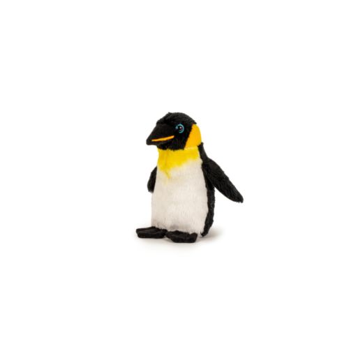Peluche Peluche