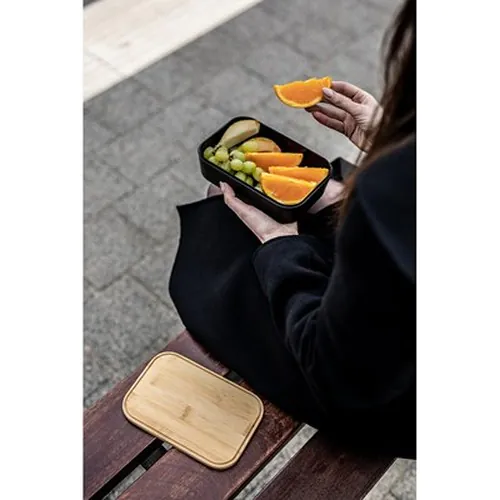 contenitore per il pranzo contenitore per il pranzo