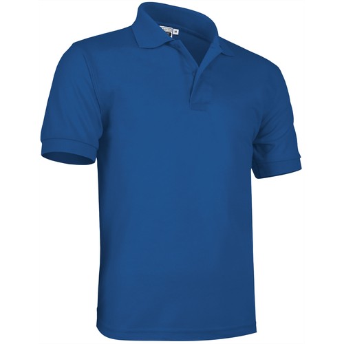polo polo