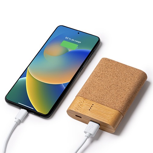 powerbank