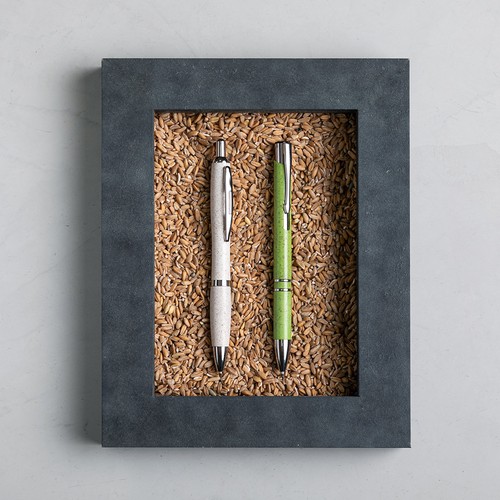 Pen Prodox