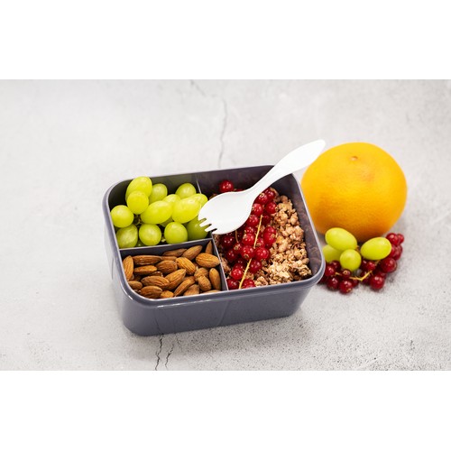 SNACK lunch box with inner divider and spork compartment SNACK lunch box with inner divider and spork compartment