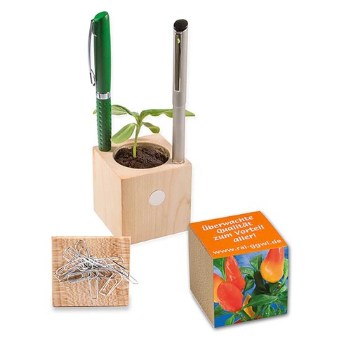 Pot cube bois de bureau avec graines - Piment