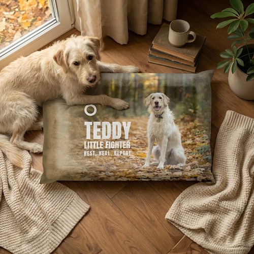 Coussin pour Chien Personnalisé – Confort Peluche, sur Commande