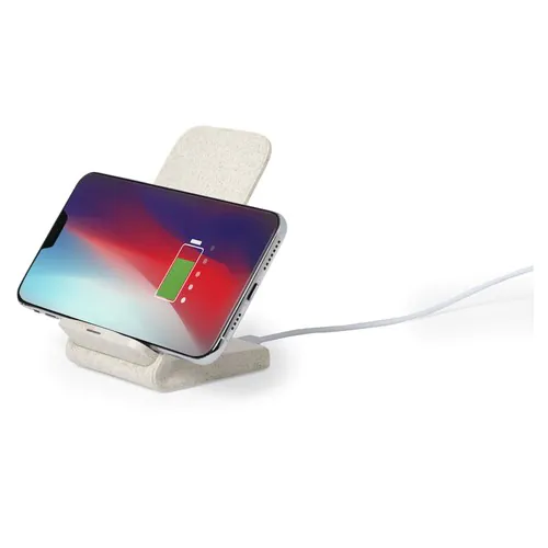 Charger Birniax