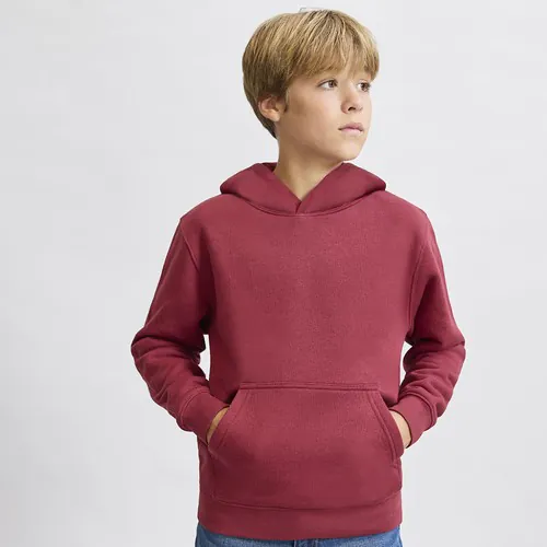 bluza