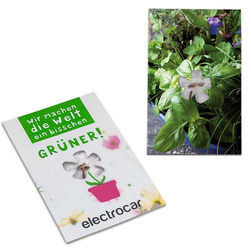 Seed-card-mini flower - Herb-mixture Seed-card-mini flower - Herb-mixture
