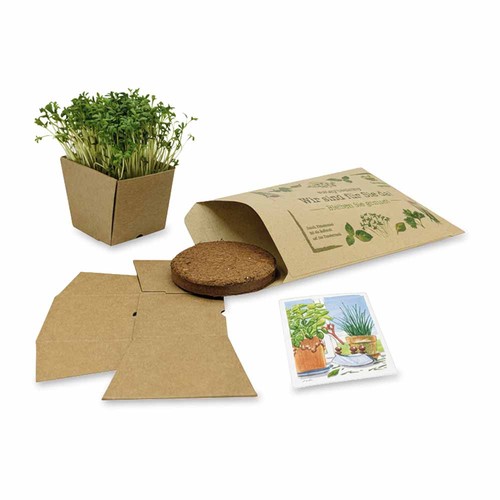 "Make-a-Wish" Seed Planting Kit - (Kraftpapier) Cress "Make-a-Wish" Seed Planting Kit - (Kraftpapier) Cress