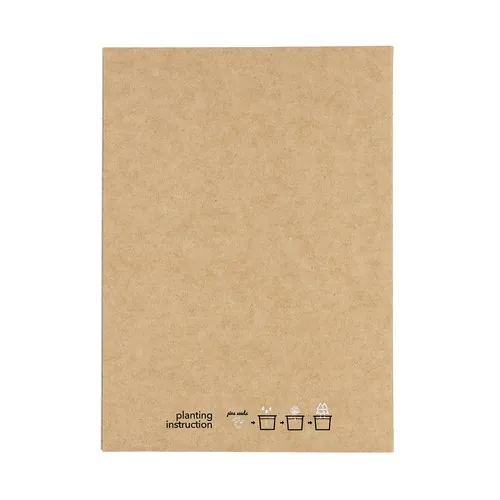 Postal Adorno Astrox Postal Adorno Astrox