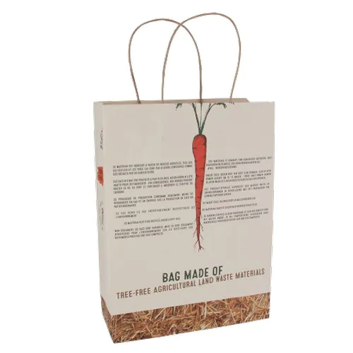 Sac en papier 50% sans arbres Sac en papier 50% sans arbres