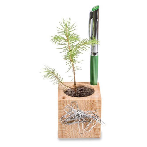 Houten pennenbakje met zaden - Margriet Houten pennenbakje met zaden - Margriet