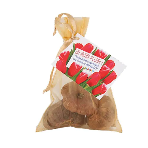 Aumônière organza Aumônière organza