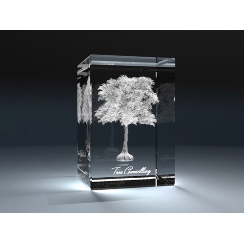 Bloc de verre, 160x80x80mm