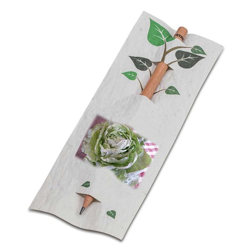 Crayon dans une carte en papier de semence - Laitue 4/0-c