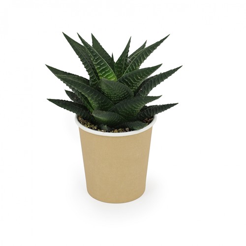 10W charging base and desktop air filtering plant 10W charging base and desktop air filtering plant