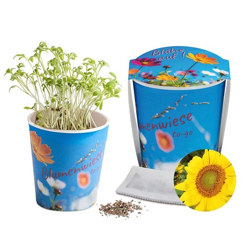 Flower meadow to-go - Sunflower - neutral Flower meadow to-go - Sunflower - neutral