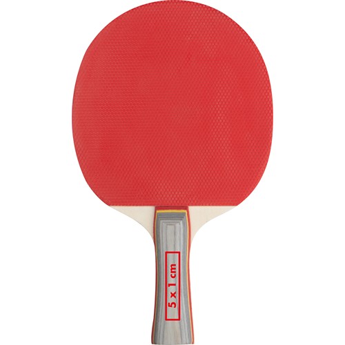 Table tennis set Masstricht