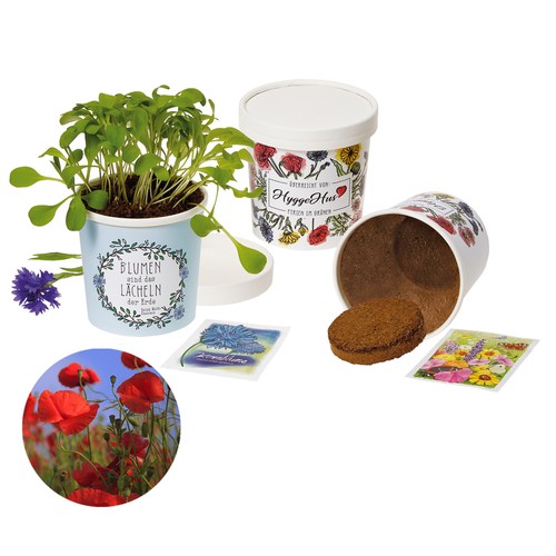 Cup Flower - zaadset - Klaproos Cup Flower - zaadset - Klaproos