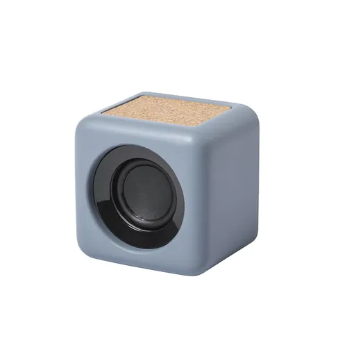 Speaker Seynol Speaker Seynol