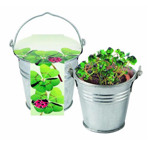 Petit Seau en Zinc Trèfle à 4 Feuilles Petit Seau en Zinc Trèfle à 4 Feuilles