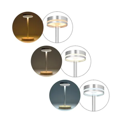 ADJUSTABLE RECHARGEABLE TABLE LAMP