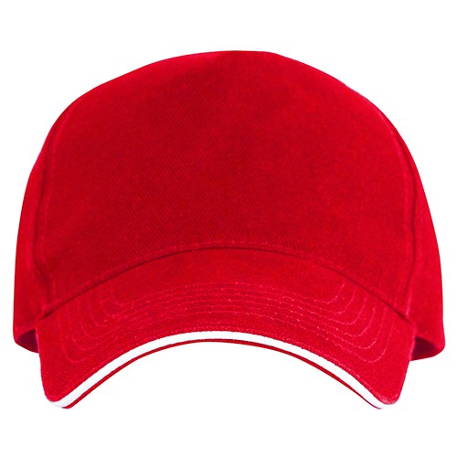 5 panels cap. ERIS