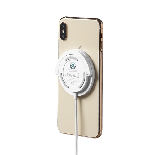 Chargeur Dixlem RCS Chargeur Dixlem RCS
