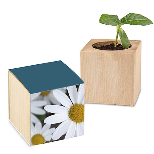 cubo publicitario