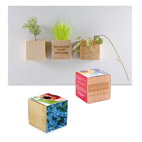 Houten plantenset magneet met zaden - Vergeetmenietjes Houten plantenset magneet met zaden - Vergeetmenietjes