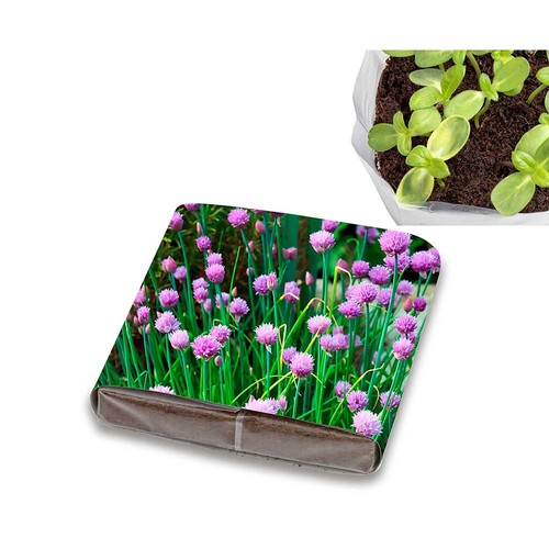 Set de plantation Pop-up avec graines - ciboulette Set de plantation Pop-up avec graines - ciboulette