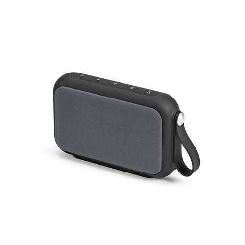 Hawking Speaker Hawking Speaker