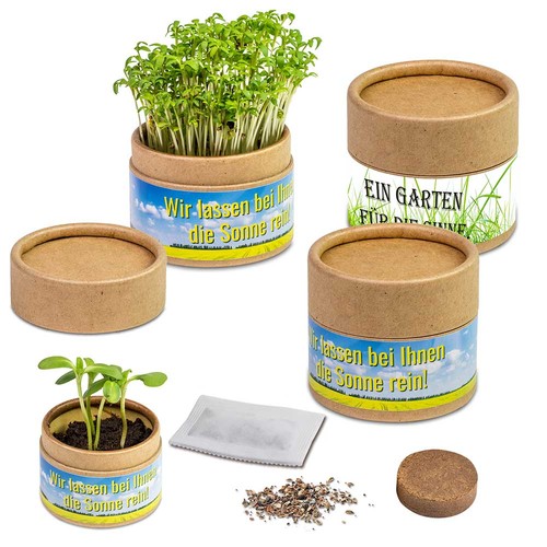 Boite kraft avec graines - Myosotis Boite kraft avec graines - Myosotis