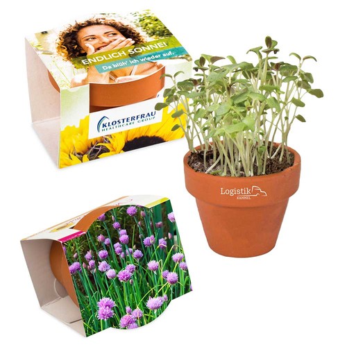Logo-pot with seeds - teracotta - chives