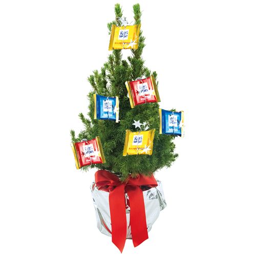 Sports Tree 35-45 cm Sports Tree 35-45 cm