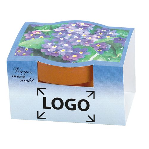 Pot en terre cuite Myosotis