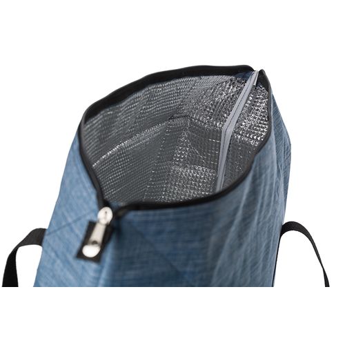 600D polyester cooler bag Alejandro